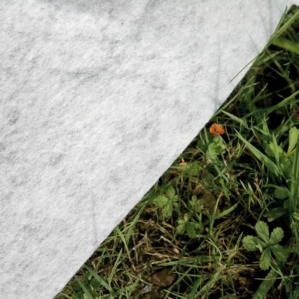 GRE Gré Avantgarde Composiet Zwembad - 466 X 326 X 124 Cm 6 GRE Gré Avantgarde Composiet Zwembad - 466 X 326 X 124 Cm - Afbeelding 6